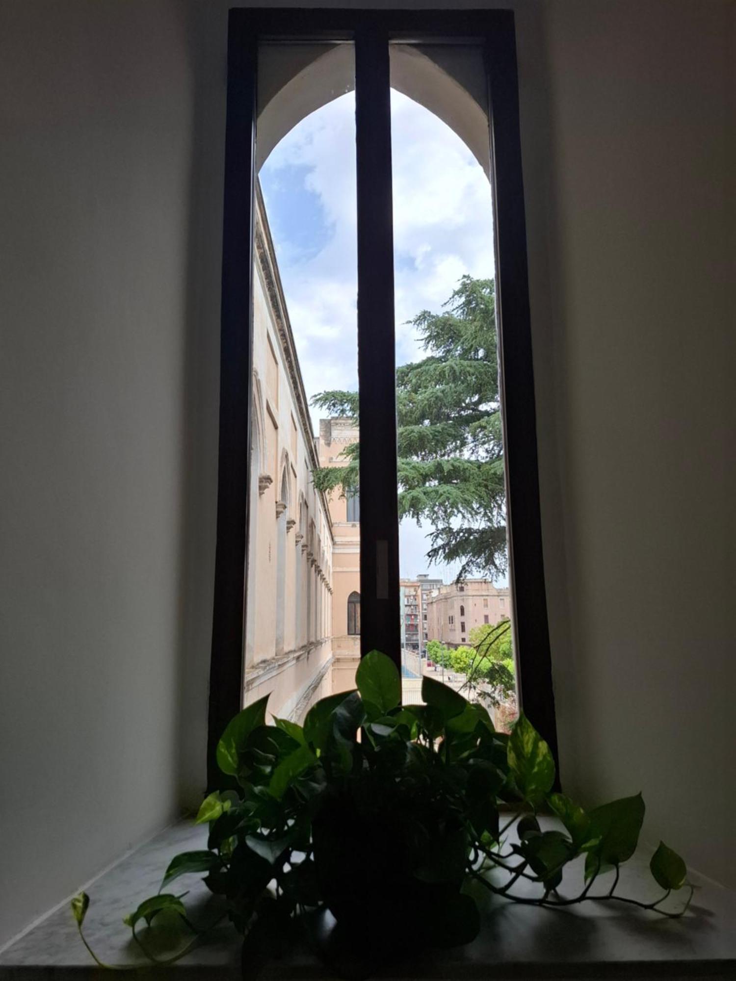 Bed and Breakfast Lupi E Agnelli Барі Екстер'єр фото